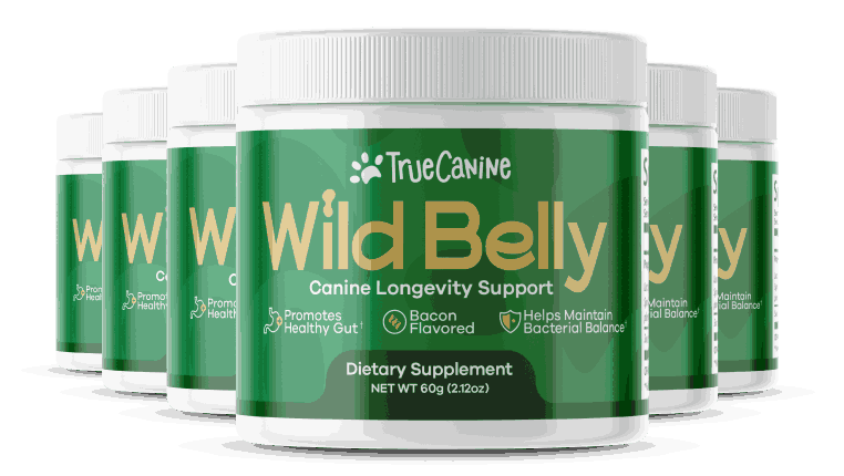 wild-belly-official-website
